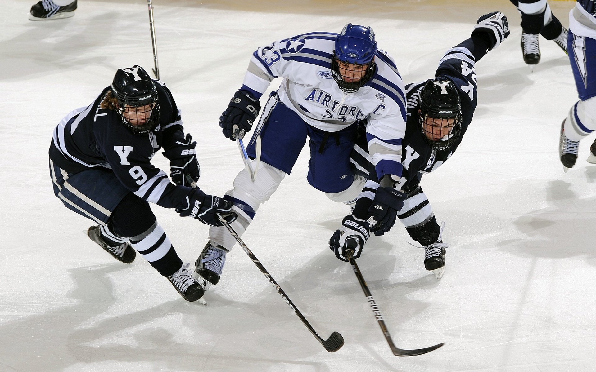 【场地分析】不同场馆的特殊战术应用,场馆布局